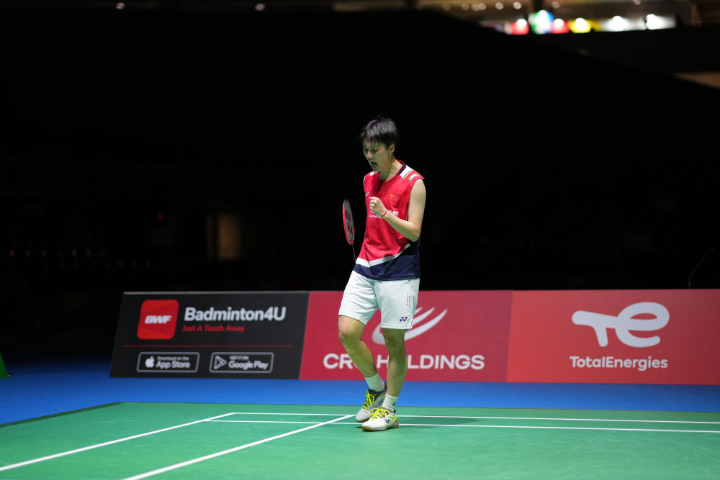 网坛整体的 网坛整体的