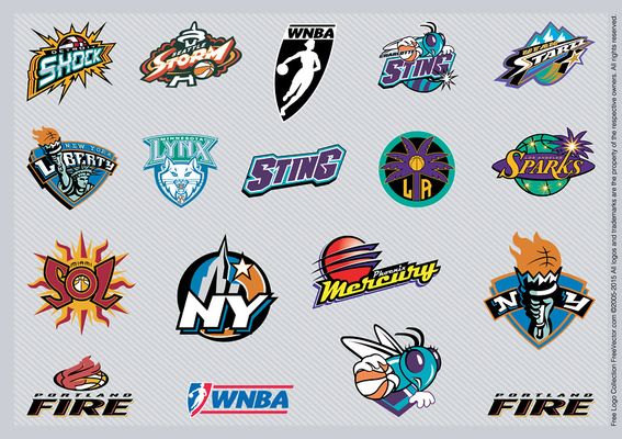 基本信息 基本信息