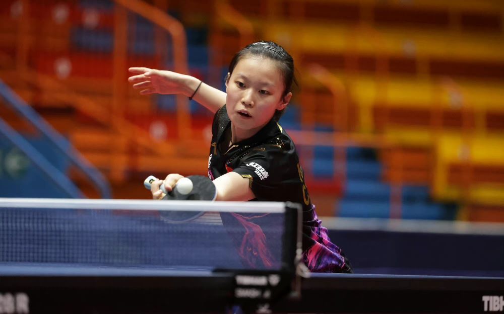 冬窗周期短 冬窗周期短