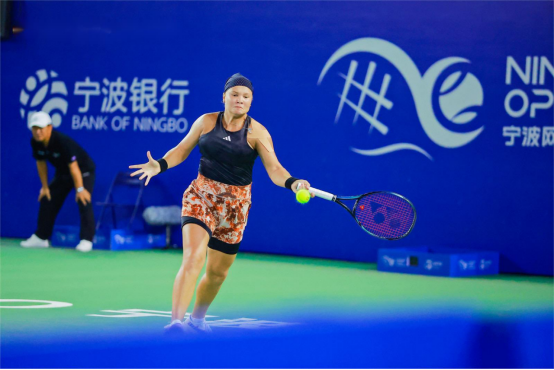 彩图集